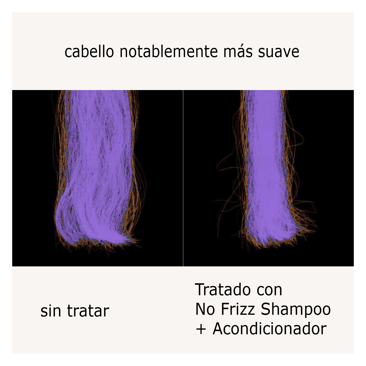 NO FRIZZ CONDITIONER (ACONDICIONADOR ANTI-FRIZZ)